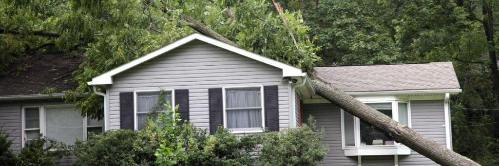 A fallen tree on top of a house.