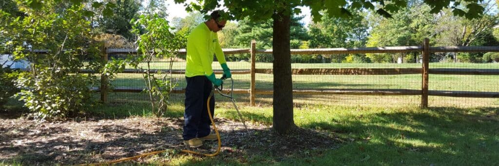 An arborist from Clauser Tree Care injecting fertilizer for a tree in Doylestown, PA.