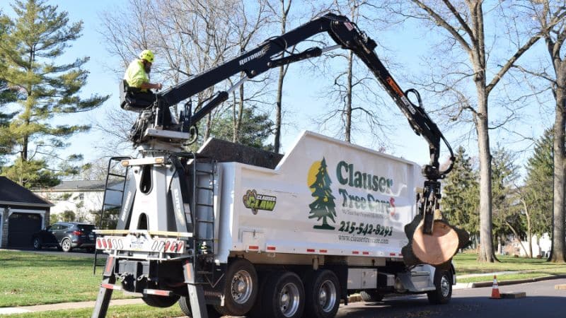 A member of the Clauser Tree team loading a log into a truck after winter tree removal in Chalfont, PA.