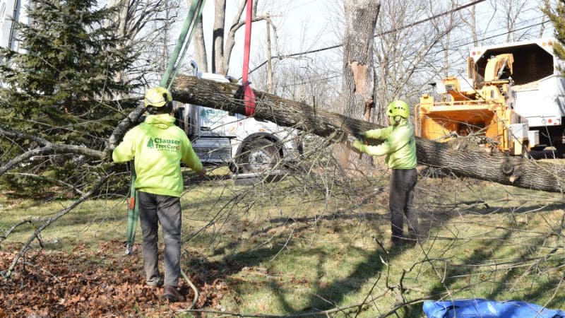 Two member of the Clauser tree team using a crane to dispose of a log during winter tree removal in Lansdale, PA.