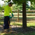 An arborist from Clauser Tree Care injecting fertilizer for a tree in Doylestown, PA.